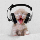 intheblitz