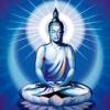 meditate